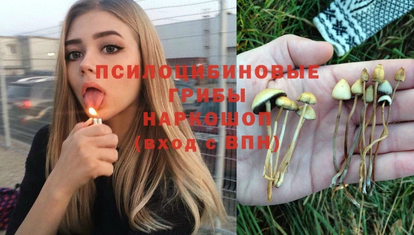 кокаин колумбия Алексин