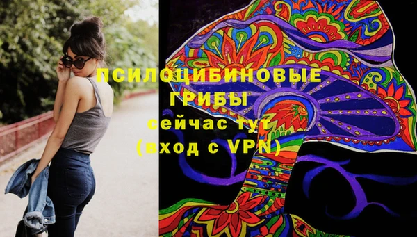 таблы Алзамай